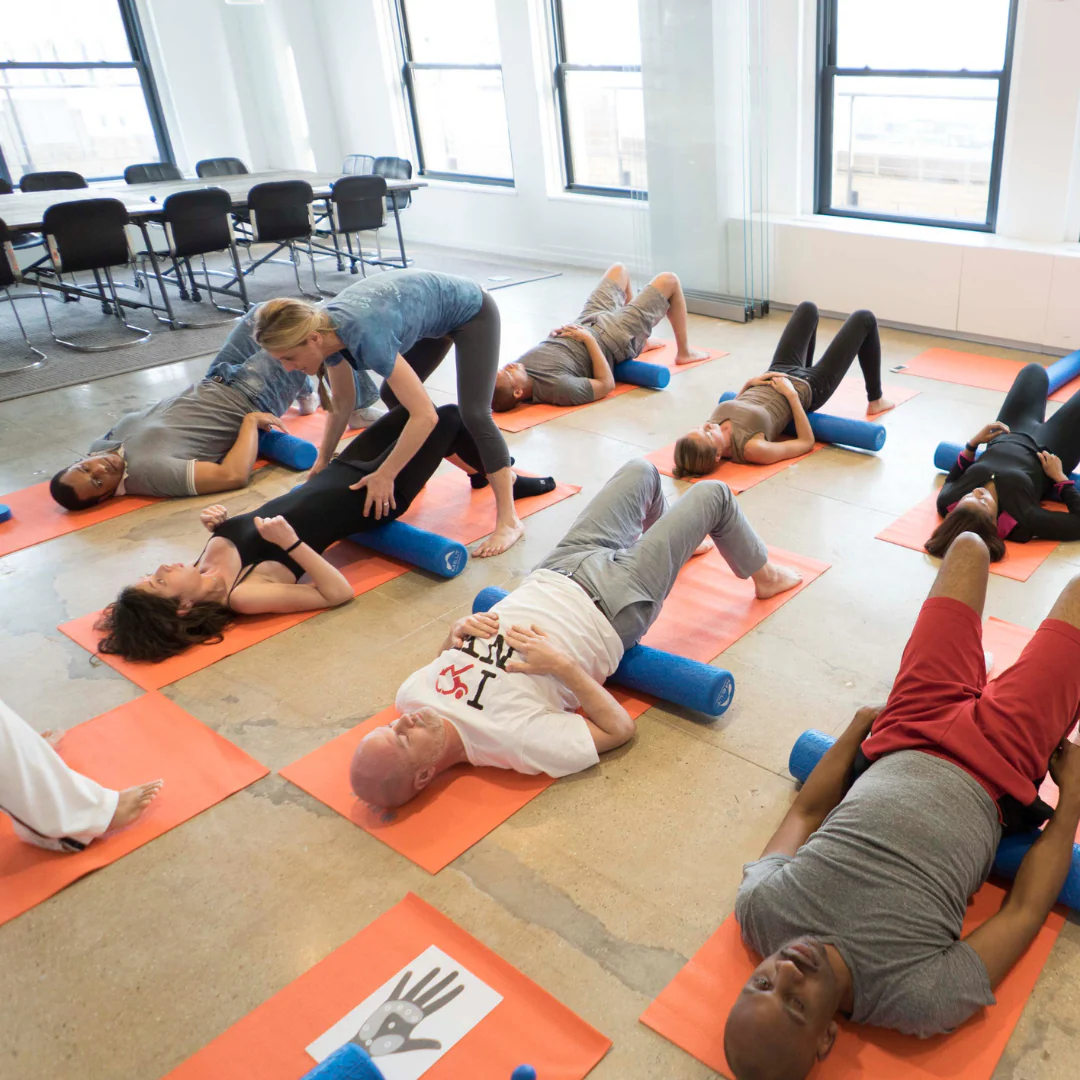 MELT Level 2 Online Training